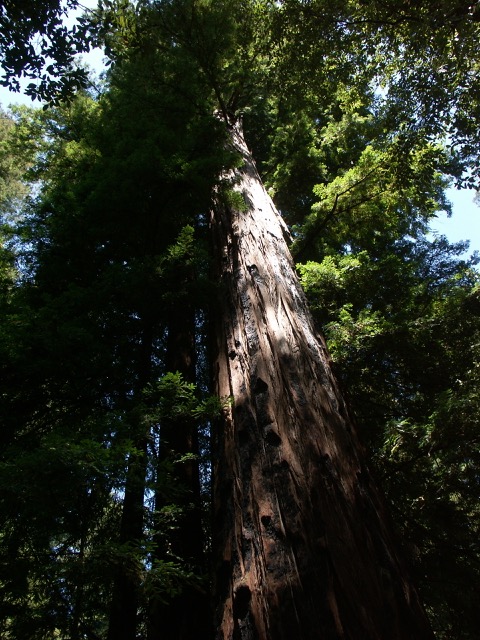 c0008664_84654.jpg