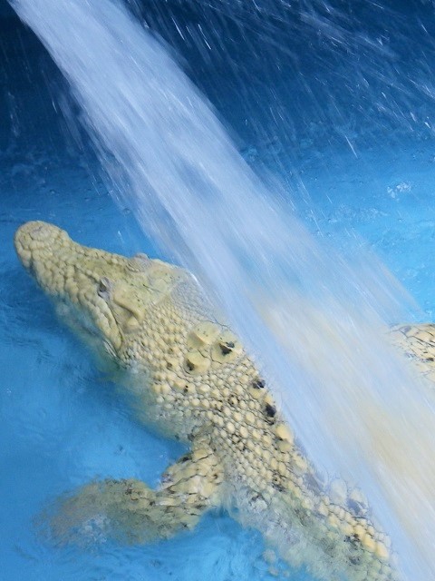 c0105569_0433784.jpg