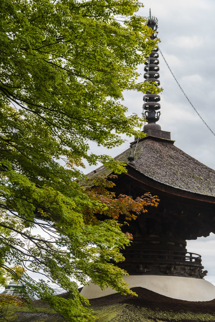 善峯寺と秋明菊 3_a0301676_08002724.jpg