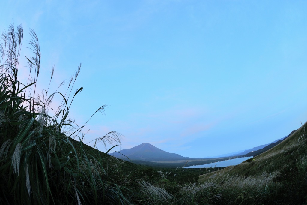 【富士山」　秋色と富士　_a0329277_20193456.jpg