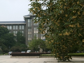 f0007580_23173652.jpg