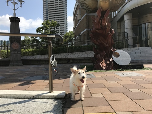 台風一過〜♪_a0251786_233787.jpg