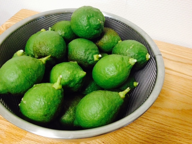 f0204295_12430710.jpg