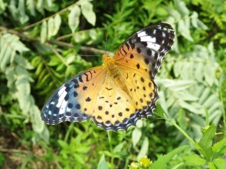 a0125598_21065456.jpg