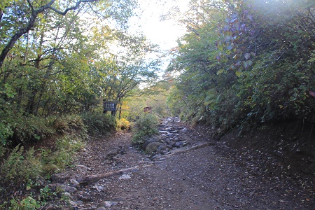 a0158702_13505027.jpg