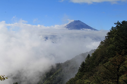a0158702_1351345.jpg