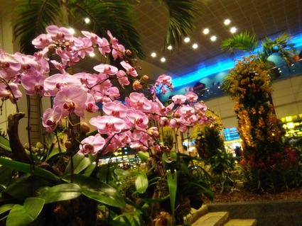 c0212604_7313257.jpg