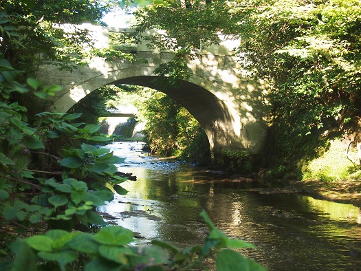 滑川にかかる橋、東勝寺橋(2016.10.7)_e0245404_16261556.jpg