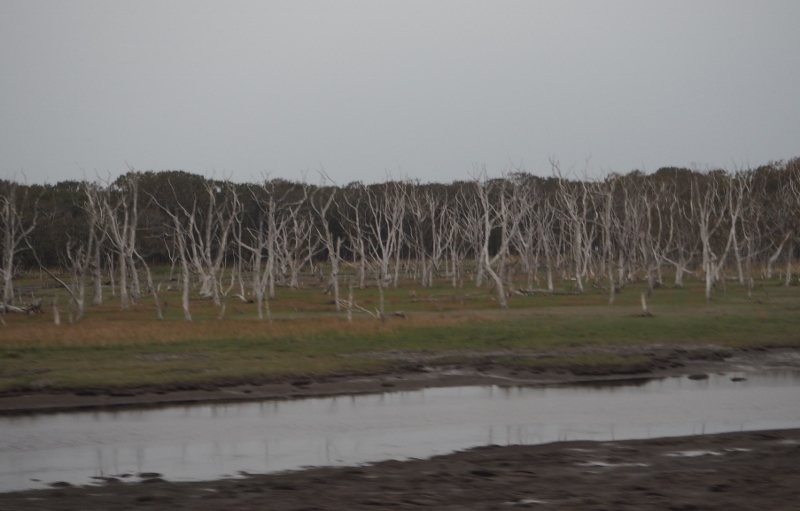 e0350905_18200769.jpg