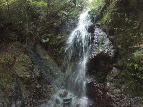 d0342206_17593383.jpg
