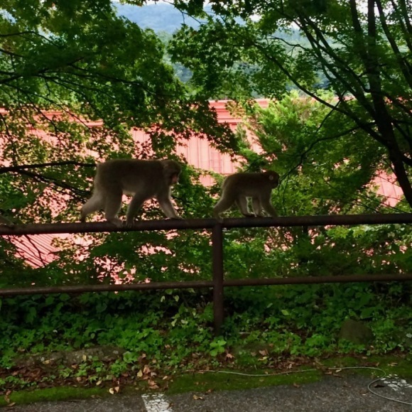 日光東照宮〜奥日光の旅８〜_c0114110_08211975.jpg