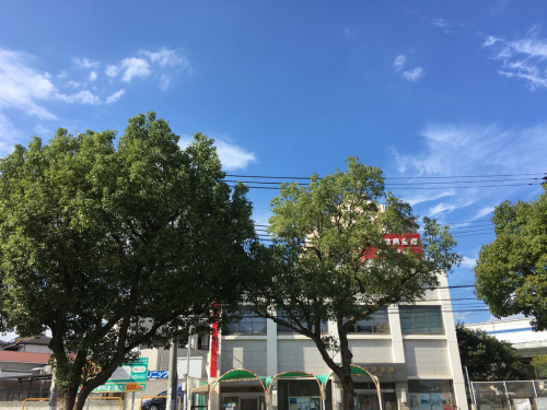 台風一過_d0184114_07363269.jpg