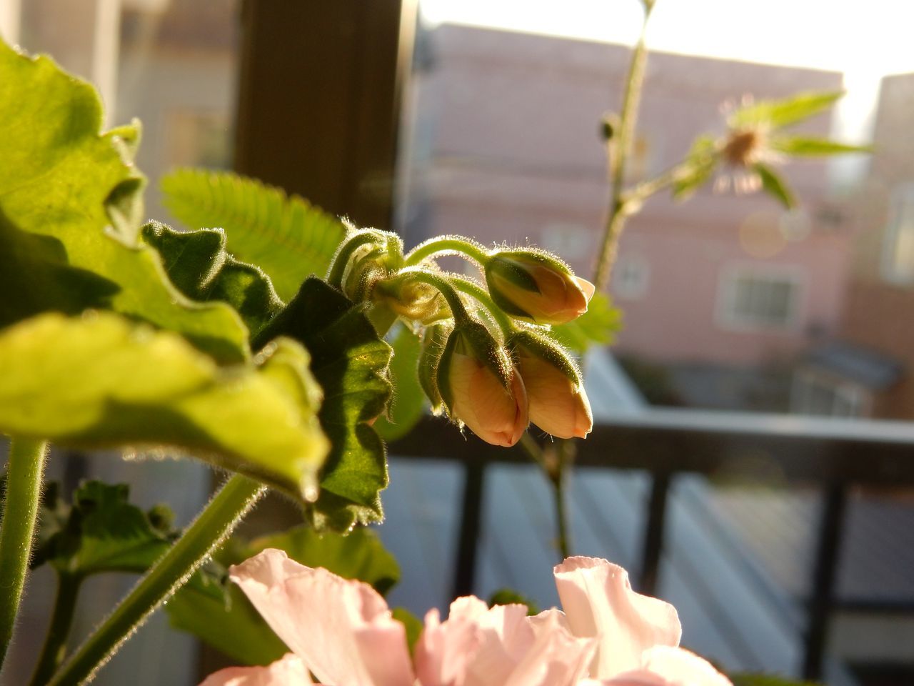 雪だより_c0025115_21053662.jpg