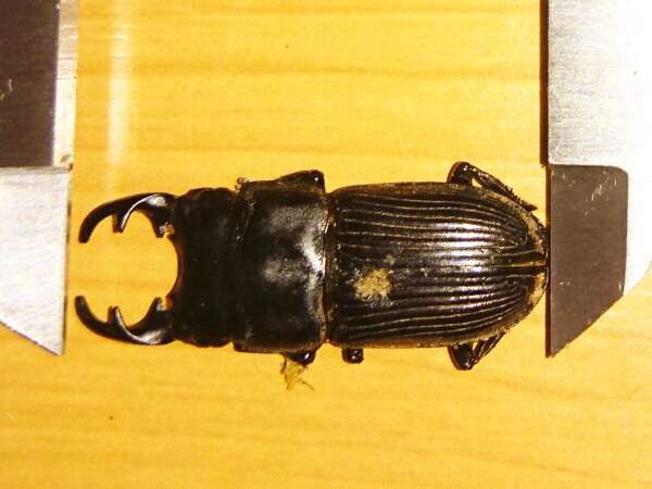 c0346119_06571973.jpg