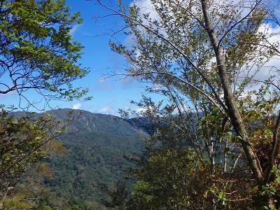 f0193521_1157356.jpg