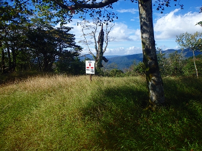f0193521_12451841.jpg