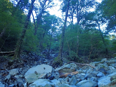 f0193521_8485668.jpg