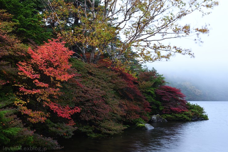 北八ヶ岳 白駒池 ～紅葉～_d0319222_10251379.jpg