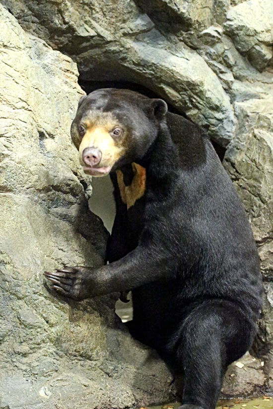 f0224624_11211318.jpg