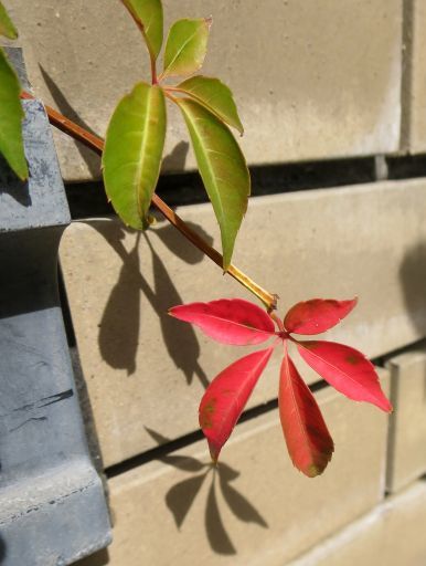 b0178339_00454036.jpg