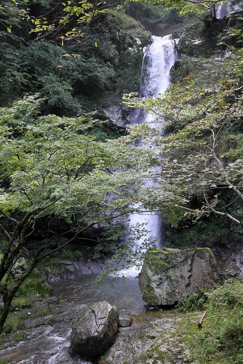 すえドンの阿波の神社ツアーNo.1-07♪猿飼のそば畑と鳴滝♪_d0058941_2145365.jpg