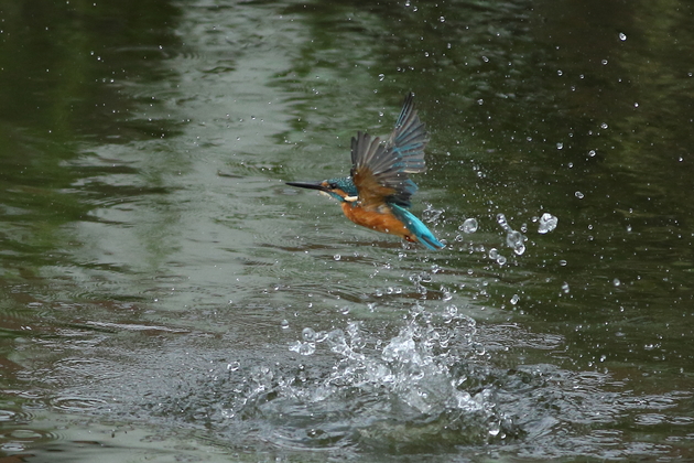 d0350160_014398.jpg