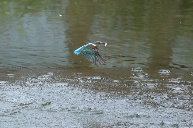 d0350160_09957.jpg
