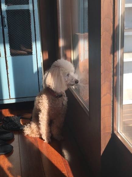 c0120363_14332716.jpeg