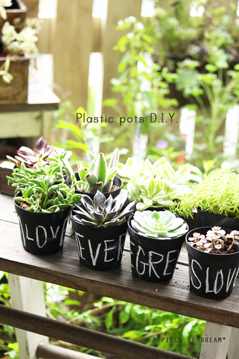簡単diy Vol 1 多肉のモリモリ便 で プラ鉢リメイク してみよう A Piece Of Dream 植物とdiyと 簡単diy Vol 1 多肉のモリモリ便 で プラ鉢リメイク してみよう A Piece Of Dream 植物とdiyと