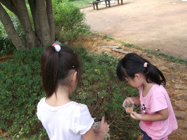 キンモクセイの木の下で_f0334882_17594131.jpg