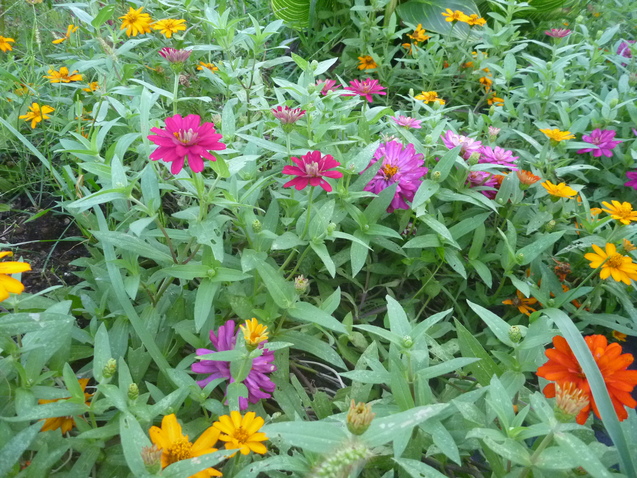c0096287_1752634.jpg