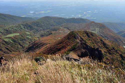 e0241691_2383180.jpg