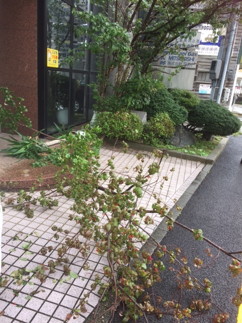 台風18号_e0183792_08401072.jpg