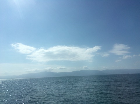 d0157497_13371801.jpeg