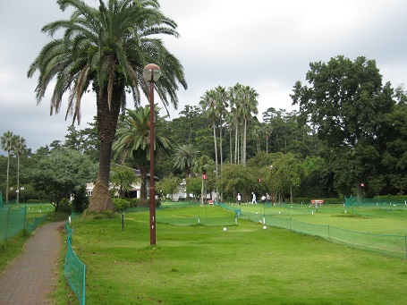 e0147297_1434894.jpg