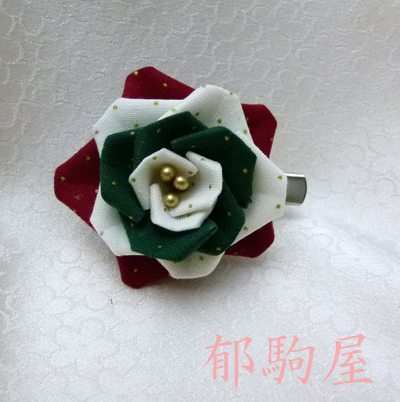 f0336197_17593666.jpg