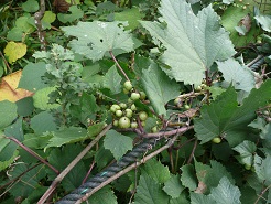 b0061798_858356.jpg