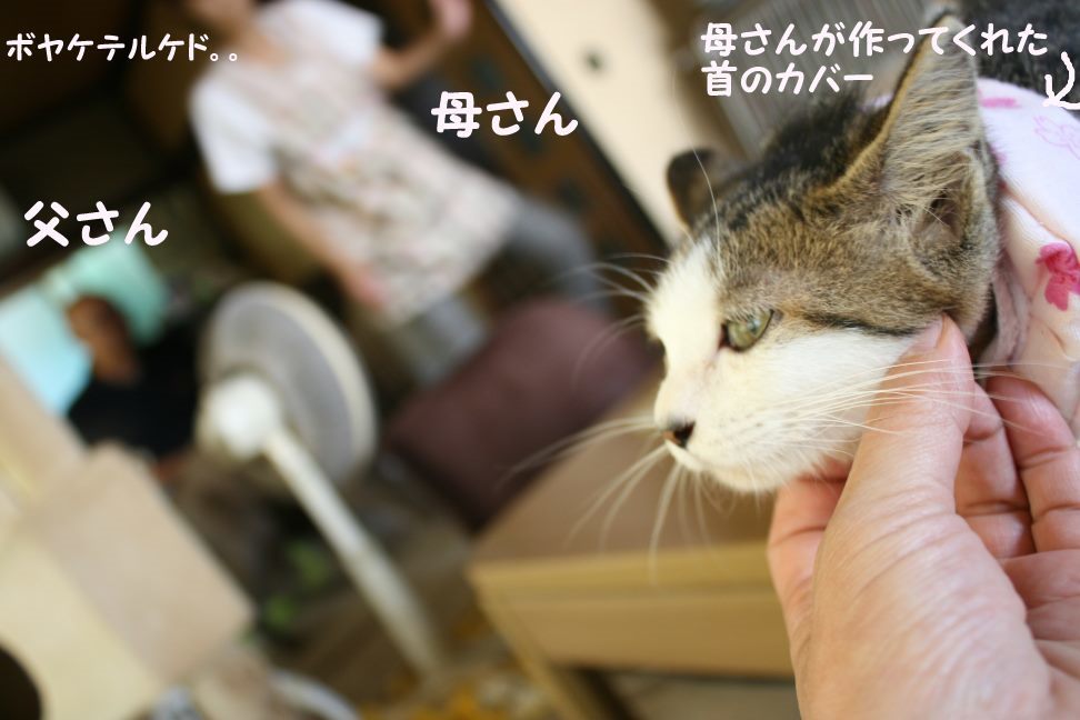 くりっこちゃん 新生活スタート!_f0242002_14133741.jpg