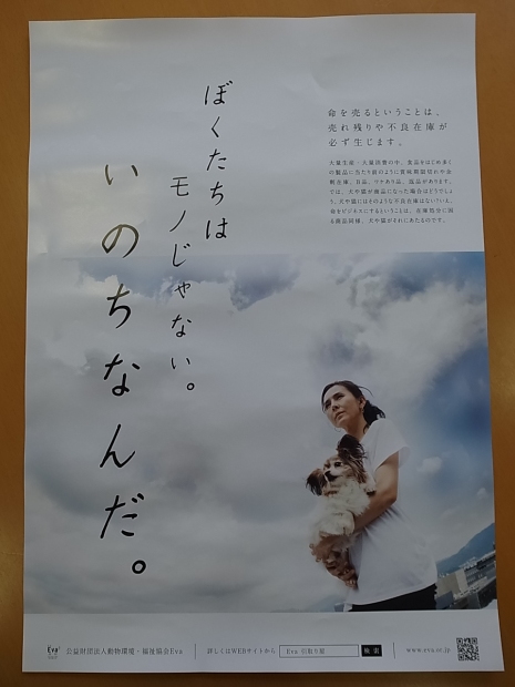 Evaの2016年啓発ポスター_f0197703_10474107.jpg