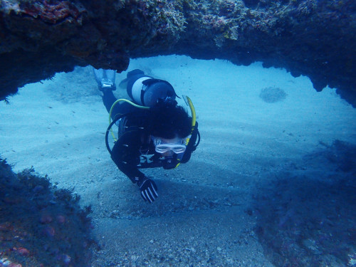 c0115421_20153374.jpg