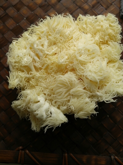 c0124528_13335049.jpg