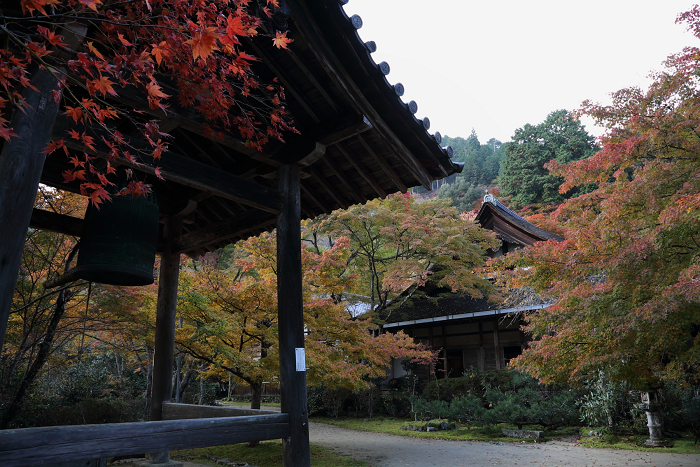 紅葉の高雄 －西明寺（後編）－ _b0169330_0125367.jpg