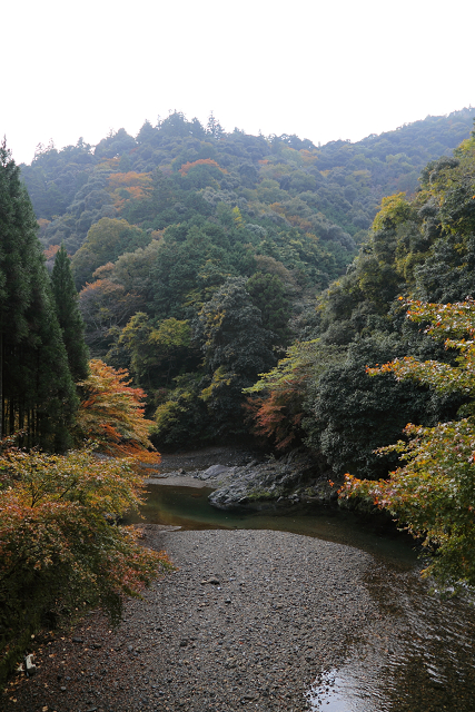 紅葉の高雄 －西明寺（後編）－ _b0169330_0161594.jpg