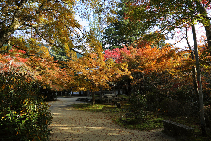 紅葉の高雄 －西明寺（後編）－ _b0169330_016931.jpg