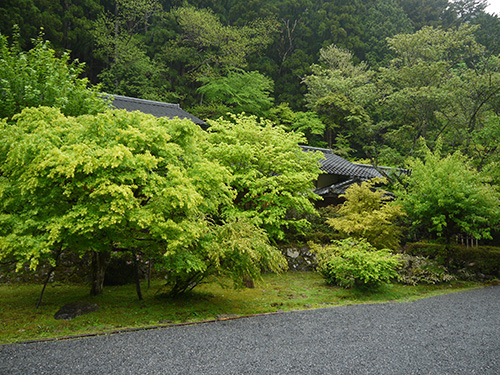 b0035734_17245087.jpg