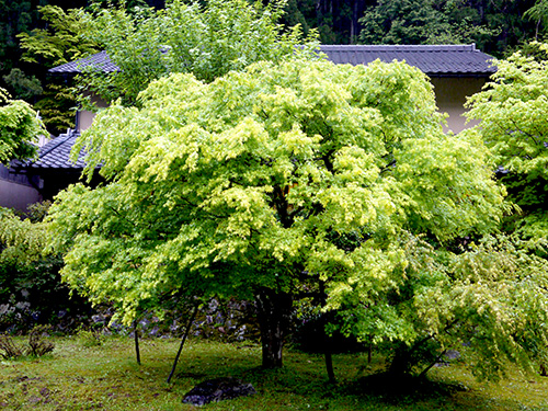 b0035734_1725132.jpg