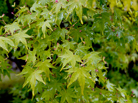 b0035734_1725777.jpg