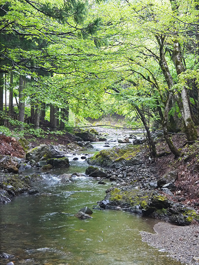 b0035734_17291665.jpg