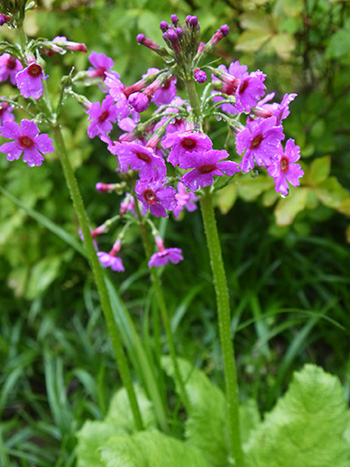 b0035734_17294425.jpg
