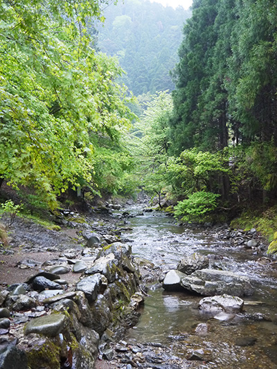 b0035734_1730037.jpg